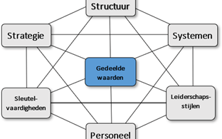 Het 7S-model van McKinsey uitgewerkt